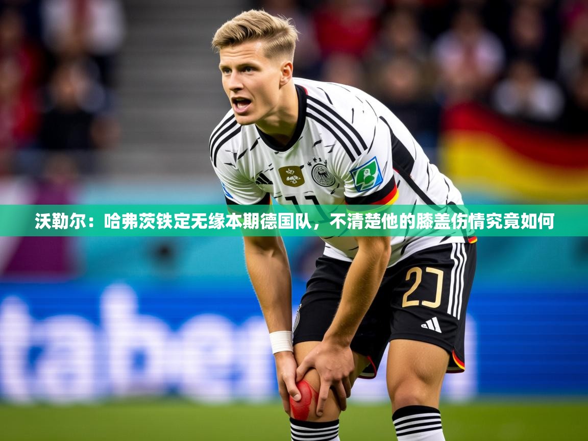 2025米兰体育是正规的吗沃勒尔：哈弗茨铁定无缘本期德国队，不清楚他的膝盖伤情究竟如何  第3张