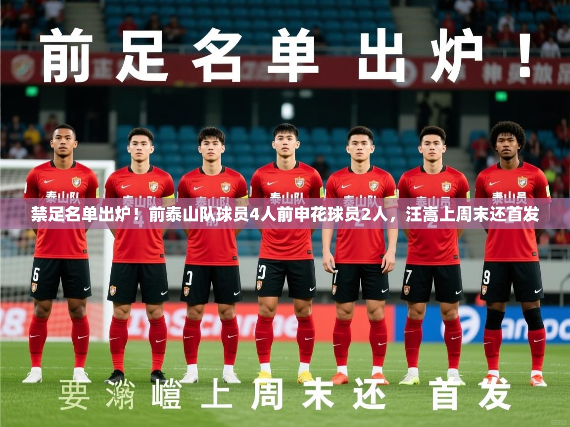 2025米兰体育官网禁足名单出炉!前泰山队球员4人前申花球员2人,汪嵩上周末还首发 第2张