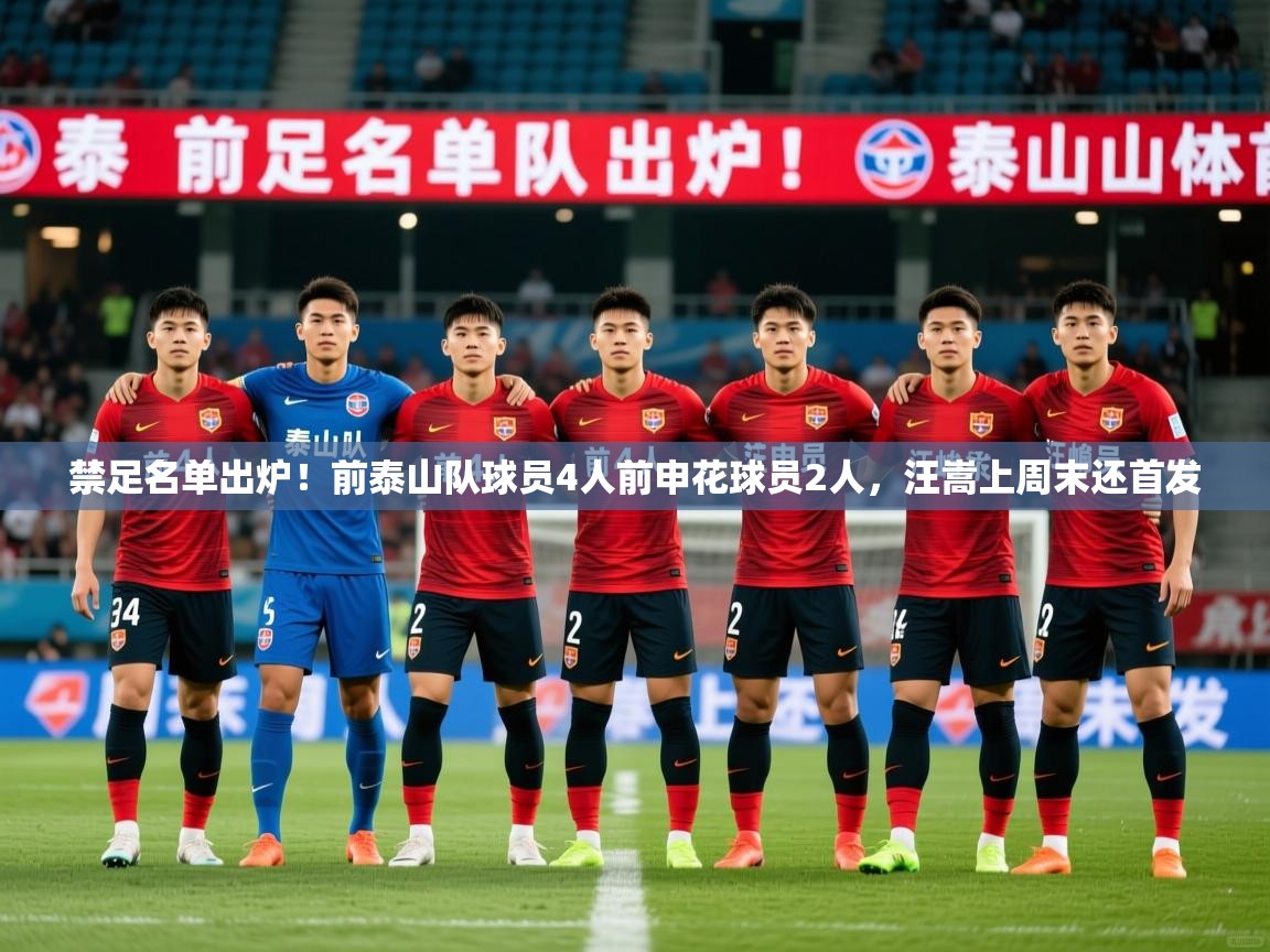2025米兰体育官网禁足名单出炉!前泰山队球员4人前申花球员2人,汪嵩上周末还首发 第3张
