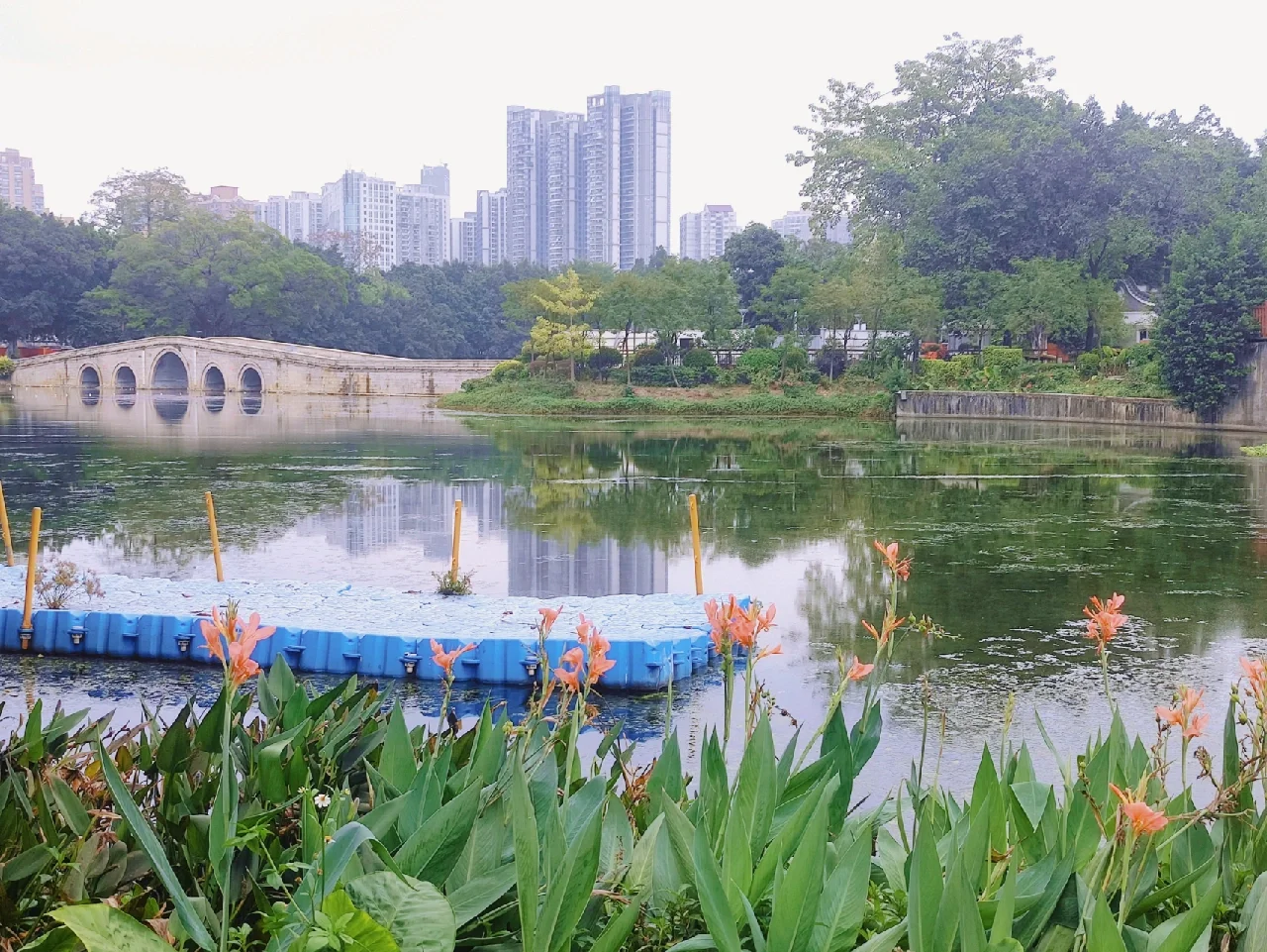 沙特公园流浪者遭遇不败，排名蒸蒸日上的简单介绍